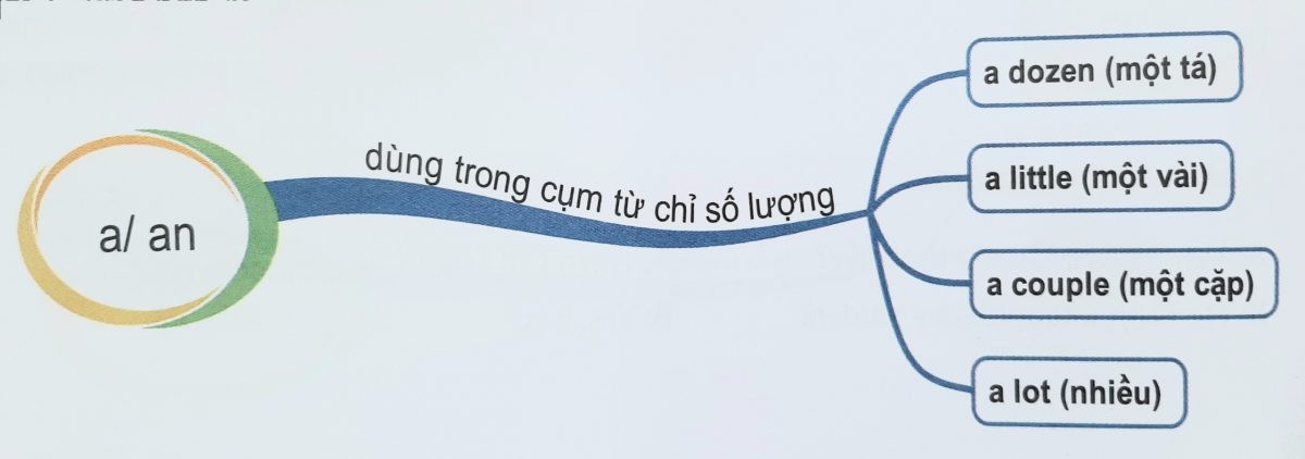 Mạo từ