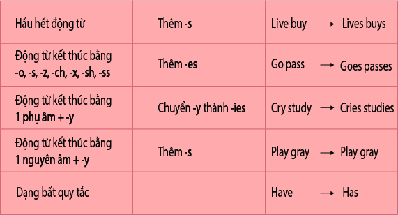 How to add s, es after nouns and verbs