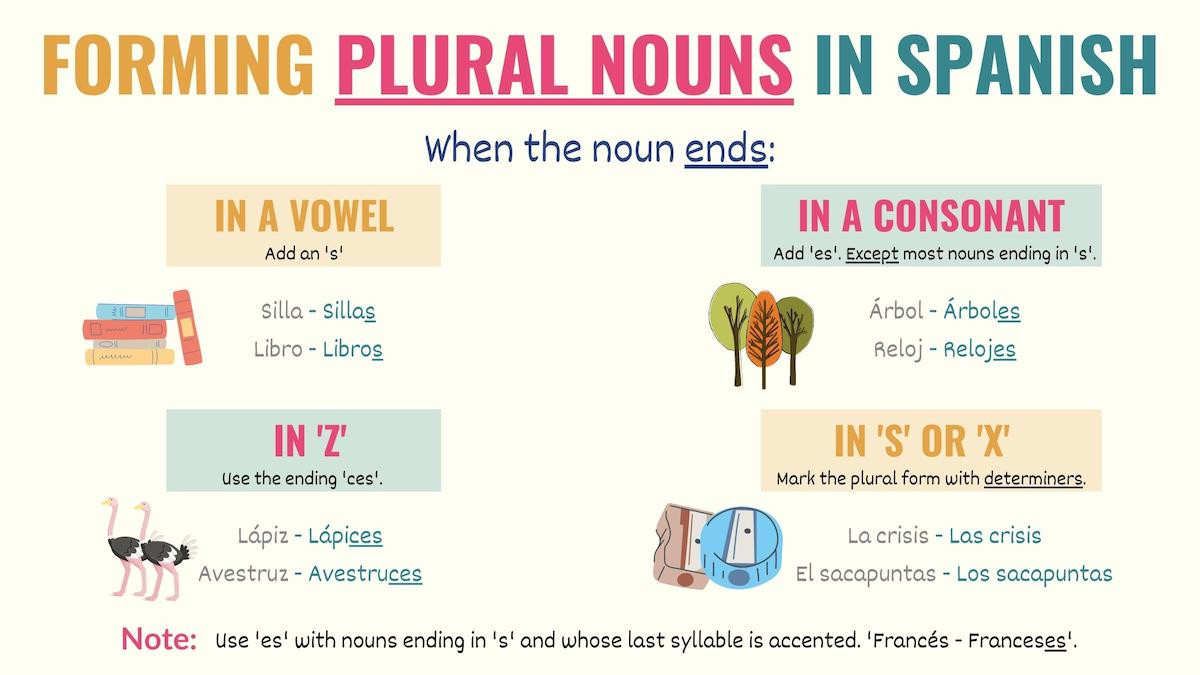 How to add s, es after nouns and verbs